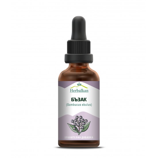 Бъзак / Sambucus ebulus Бъзак / Sambucus ebulus