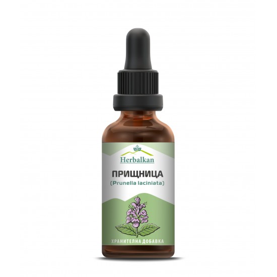 Пришница (Prunella laciniata) Пришница (Prunella laciniata)