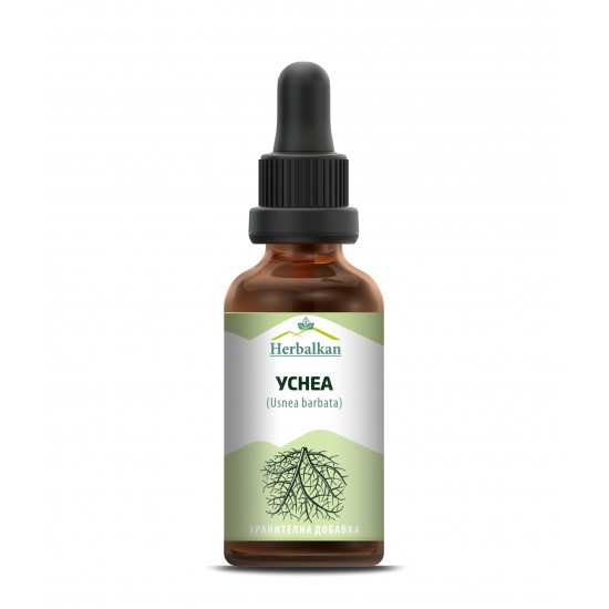 Уснеа / Usnea barbata